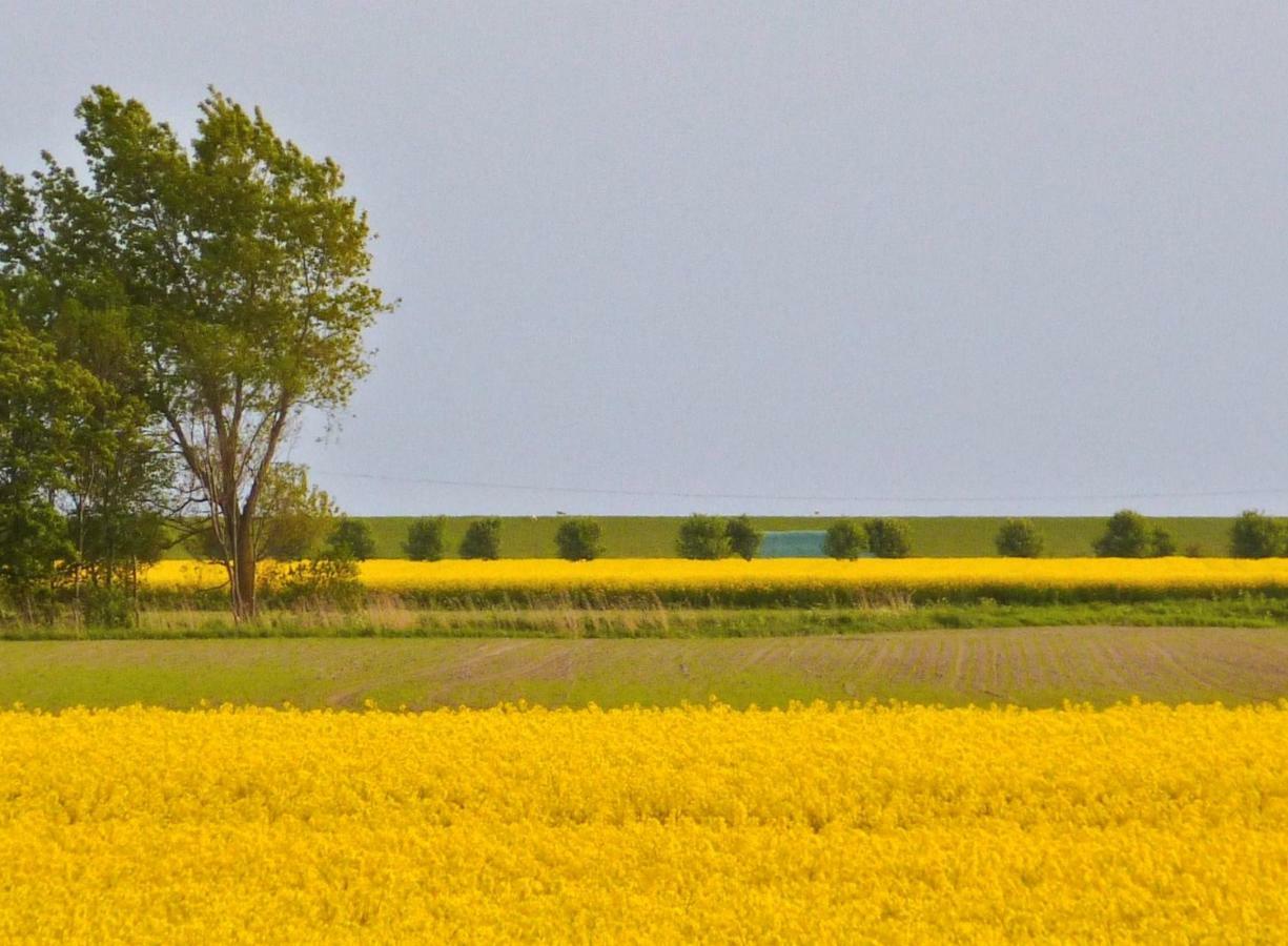 Wattenblick Büsum Exterior foto
